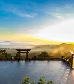 linh-quy-phap-an-bao-loc